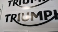 Triumph Street Scrambler 900 2019 white fooqs motorsticker naklejki