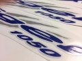 Triumph Tiger 1050 2007 2010 white fooqs motorstickers naklejki