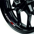 Bmw S 1000 RR white motorcycle wheel rim decals fooqs