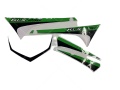 Kawasaki KLX 250 2009 green fooqs motorcycle stickers
