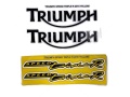 Triumph Speed Triple R 2015 yellow fooqs motorcycle stickers
