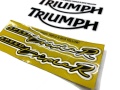 Triumph Speed Triple R 2015 yellow fooqs motorsticker naklejki