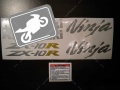 Kawasaki ZX 10R 2004 2005 blue fooqs motorcycle stickers najlepnice za motocikl