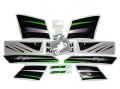 Kawasaki Zx 6r 2008 green fooqs naklejki moto sticker наклейки на мотоцикл oem