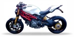 Ducati Monster 1100 Evo 2011 white stickers decals