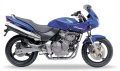 Honda CB 600 S Hornet 2000 2003 blue fooqs motorcycle decals aufkleber oem autocollants adesivi naklejki nalepky adhesivos nálepky