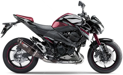 Kawasaki-Z-800-Sugomi-Edition-