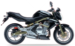 Kawasaki ER-6N 2005-2008 nero oro H8 adesivi