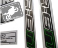 Kawasaki er 6 n 2013 green fooqs motorcycle stickers adesivos de moto color code paint 8N 5