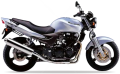 Kawasaki ZR 7 1999 2000 2001 2002 2003 silver fooqs motorcycle decals aufkleber oem autocollants adesivi naklejki nalepky adhesivos nálepky oem original 2