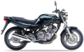 Yamaha XJ 600 N 1996 2001 green fooqs motorcycle decals aufkleber 1