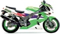 Kawasaki ZX 6R 1995 green fooqs naklejki stickers decals aufkleber oem motorcycle shop original parts nálepky kleepsud etiketler