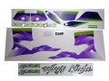 Kawasaki Zx 9r 1999 green fooqs naklejki stickers decals aufkleber oem naljepnice lipdukai stiùbhartan
