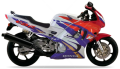 Honda CBR 600F 1995 White NH196K Red fooqs naklejki stickers decals aufkleber adesivi adesivo autocollants