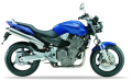 Honda CB 900 F Hornet US 2002 2007 blue stickers aufkleber motodecals adesivi autocollants