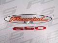 Suzuki XF 650 Freewind 1998 maroon 22U silver Y2D fooqs naklejki stickers decals aufkleber oem motorrad nálepky autocollants