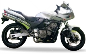 Honda CB 600 S hornet USA 2000-2003 silver naklejki