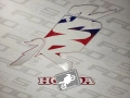 Honda NSR 125 1999 2000 blue red white fooqs naklejki stickers decals aufkleber adesivi pegatinas autocollants fairings oem 12