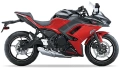 Kawasaki ninja 650 2024 Anniversary edition firecracker red ebony fooqs motorstickers oem parts fooqs aufkleber tal mutur