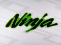 Kawasaki ZX 6RR 2005 green 777 fooqs naklejki stickers decals aufkleber oem klistermärken motorcykel stickers автокоѓант за мотоцикл fairing
